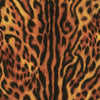 Leopard Trail - iPhone 17 Pro Max Case